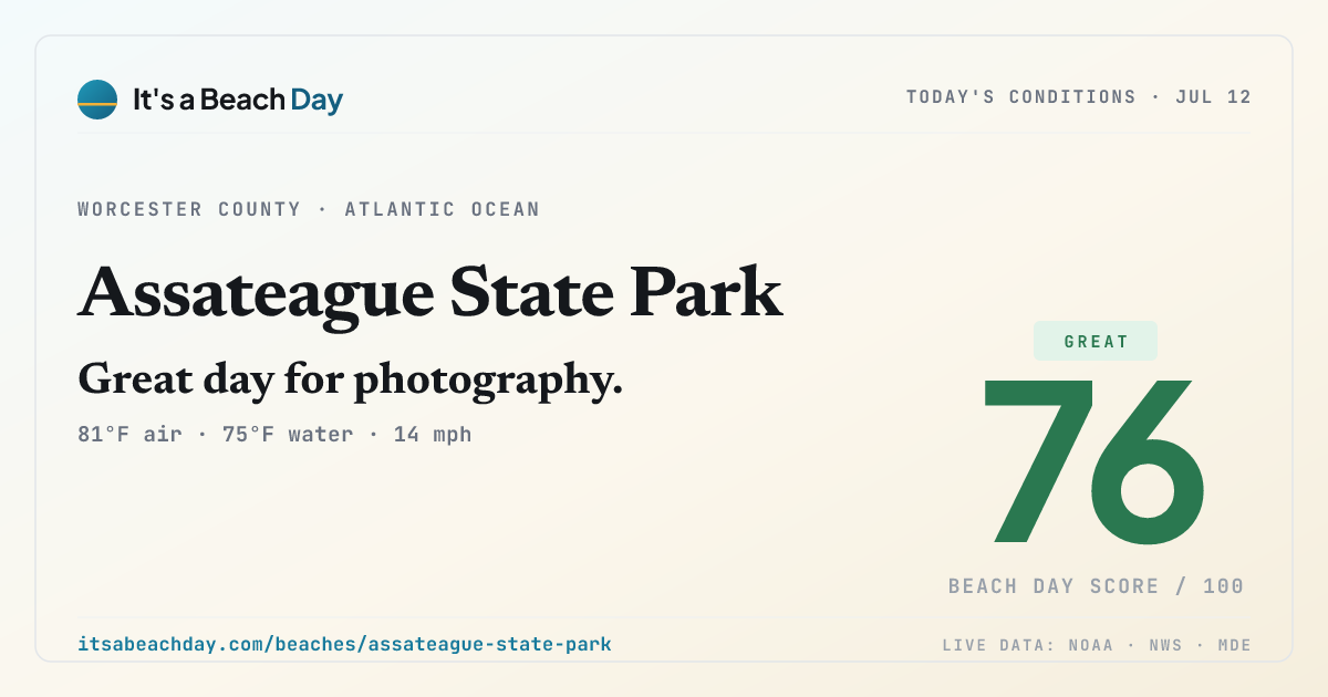 Share card for Assateague State Park