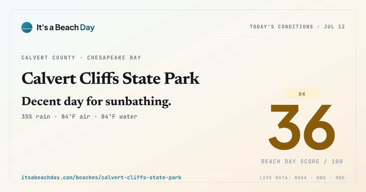 Share card for Calvert Cliffs State Park
